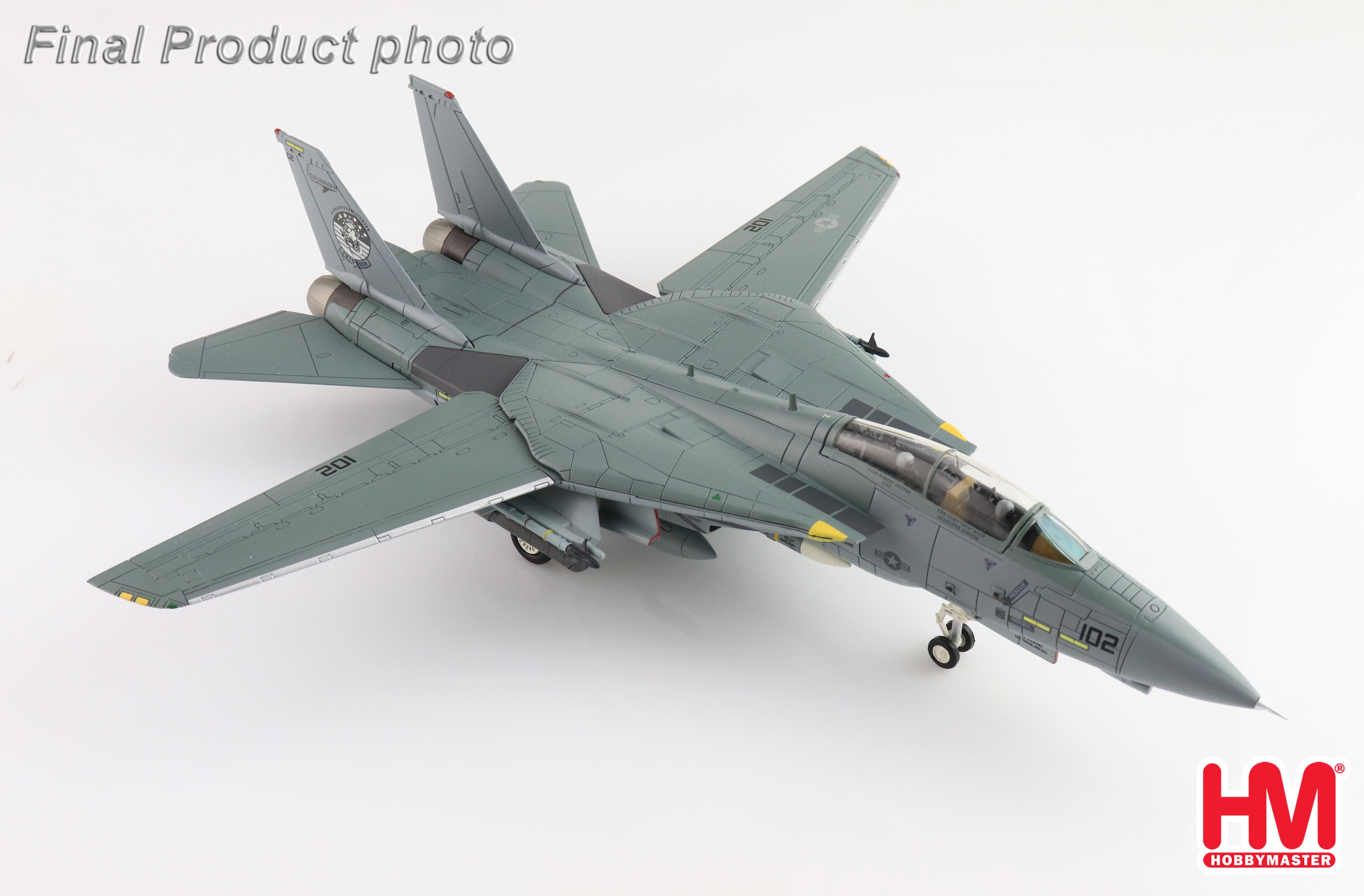 印象のデザイン Grumman F-14D  書